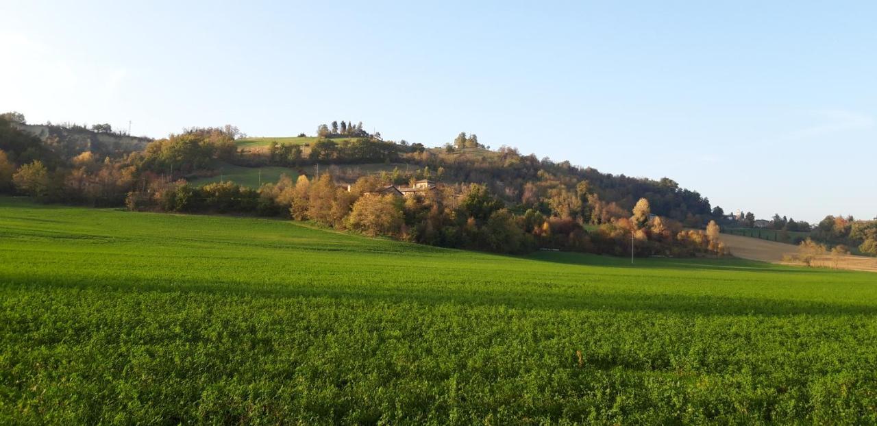 Гостевой дом Agriturismo Ca' Bertu' Zappolino Экстерьер фото